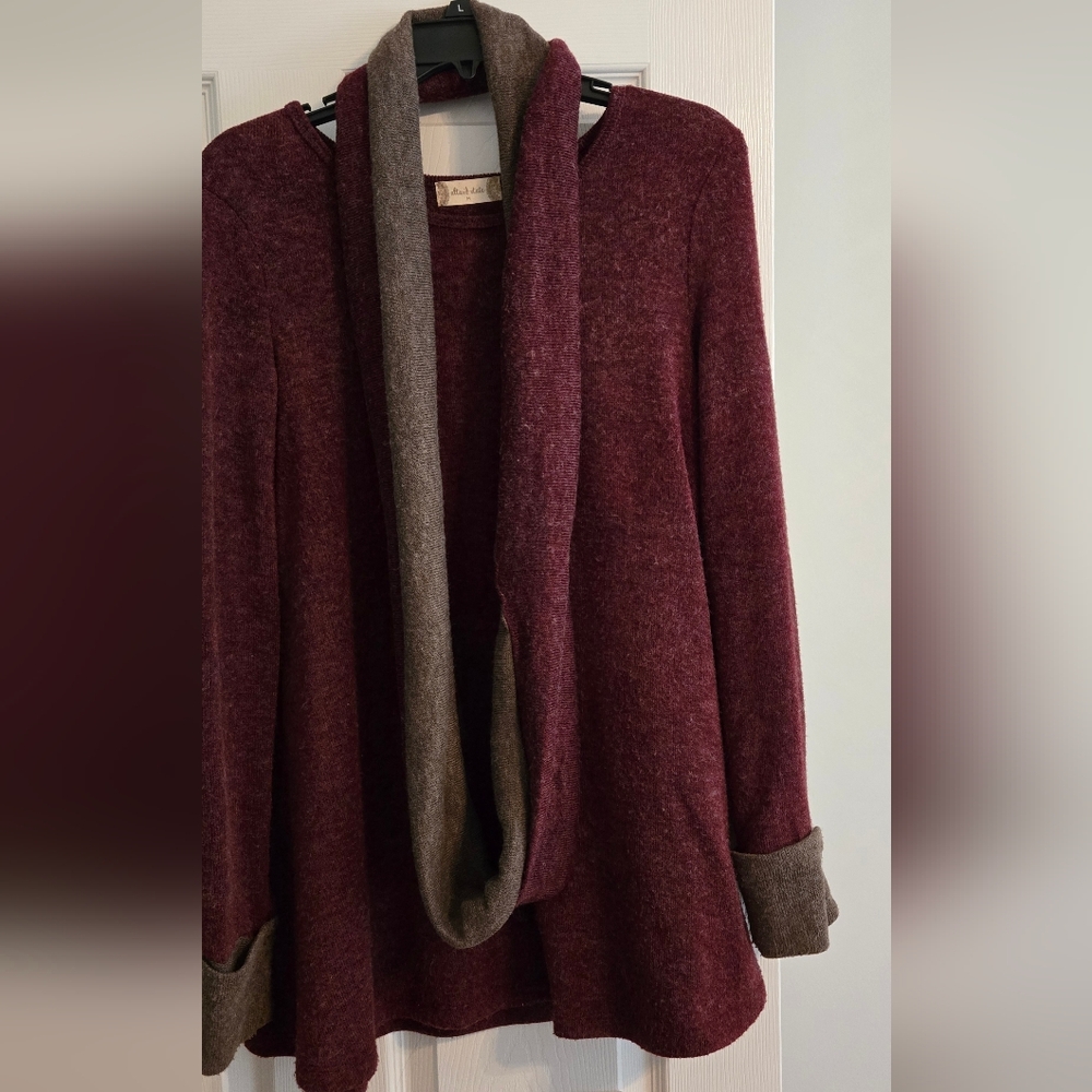 Altar'd State Burgundy and Brown Sweater